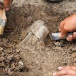 Archaeological excavations, archaeologists work, dig up an ancient clay artifact with special tools