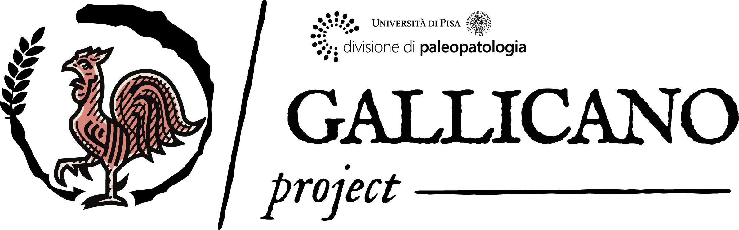 Gallicano Project